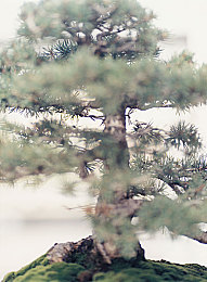 三上悠亚的影片：青春光影，悠亚映象：聚焦当代青年心灵救赎之旅