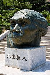 妺妺窝WWW仙踪林欢迎你：探寻神秘仙踪：仙侠新游《妺妺窝WWW》引领角色扮演奇幻之旅-5
