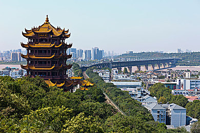 国产幼童小马拉车6的价格：国产小马玩具热销：价格亲民功能丰富，家长孩子齐点赞-2