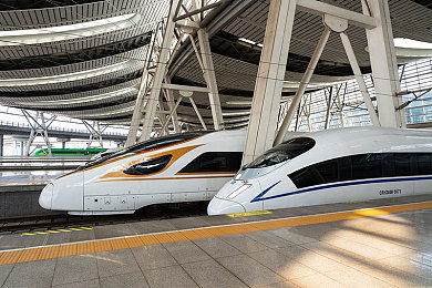 主人调教：虚拟领航，情感交织：揭秘游戏世界中的心灵驯导师之旅