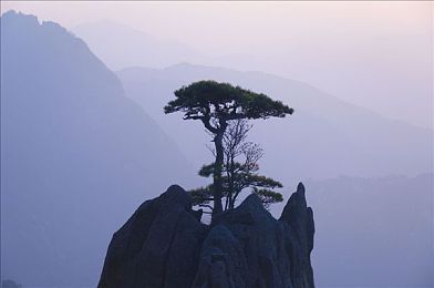 被强奸到高潮：禁忌阴影下的真相：揭秘文学强奸描绘的迷思与反思-2