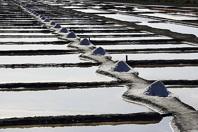 黄色直播免费下载：探索游戏直播新乐趣：揭秘热门游戏平台免费下载攻略