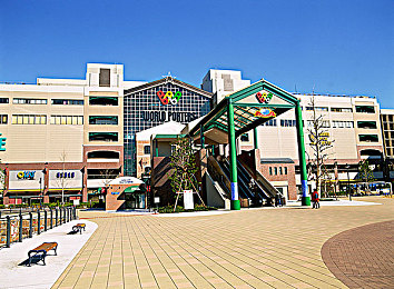 红酒瓶塞住不准掉下来：“红酒品鉴攻略：揭秘瓶塞锁紧秘诀，让美酒香醇不脱落，享受完美品鉴体验”