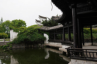密桃网址：网络宝藏探险之旅，解锁未知乐趣-2