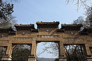 前锋与击球手下载游戏：足球棒球融合新体验，《前锋与击球手》下载热潮席卷社交平台