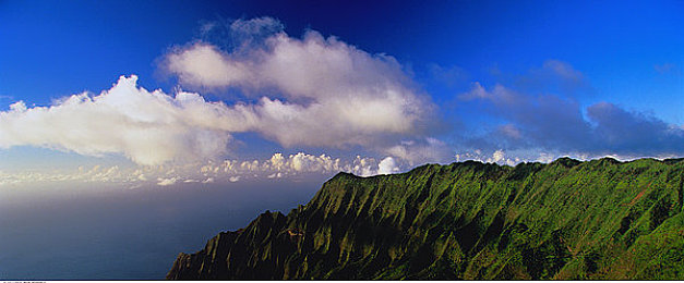 1995丛林泰山hr意大利：《丛林泰山》意大利热映：HR策略与文化交融，见证电影辉煌与交流盛宴