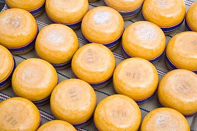 狼牙直播：视觉盛宴，直播新潮流，共创欢乐时刻-2