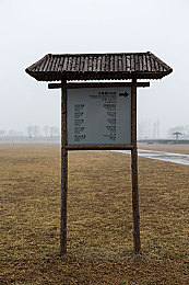 足球宝贝法版法国满天星：法国足球宝贝闪耀世界杯，揭秘法版满天星魅力风采
