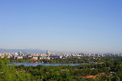 老师的兔子又大又圆：校园温馨奇遇：圆宝的爱心之旅-1