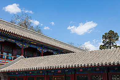钶钶钶钶钶钶钶破解版：破解之潮暗涌：版权与安全，游戏爱好者的双重挑战-2