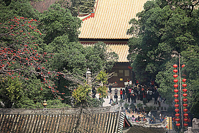 妖精免费动漫入口：新平台来袭：免费动漫盛宴，版权保护成焦点