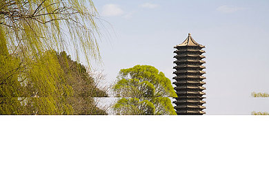 杨贵妃三 是谁：探寻神秘杨贵妃三：揭开千年传奇背后的身份之谜