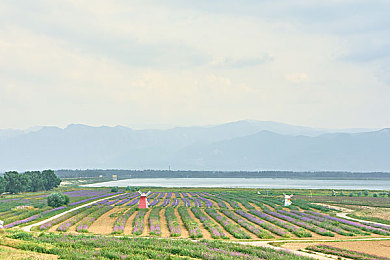 三上悠亚巅峰作品：梦想巅峰，青春逐影-2