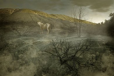 国精产品一品二品国精品96XX：国货巅峰之作：揭秘“一品二品国精品96XX”非凡魅力与卓越成就-1