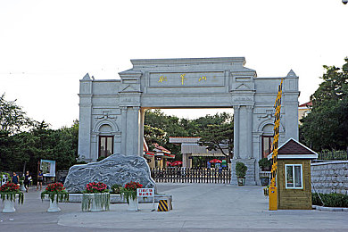 整个拳头 进入 拳交扩张：拳击巅峰对决：力量与精神的碰撞之旅-2