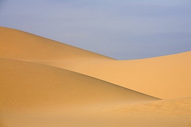拔萝卜打牌不盖牌：趣味策略，社交互动——体验“萝卜牌”的独特魅力-3