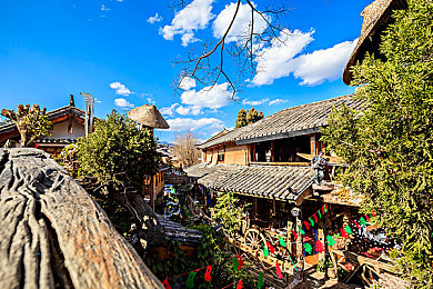 蝴蝶传禖4,3,5：探寻神话新篇章，《蝴蝶传禖》升级版带来奇幻之旅-3