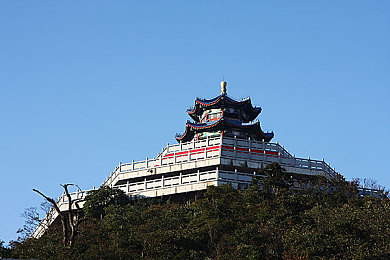兽娘通信鸟娘露琵亚：奇幻大陆通信之旅：解锁兽娘秘密的冒险征途-2