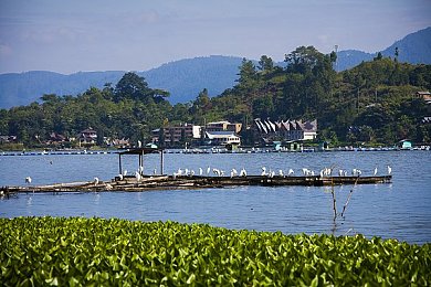 100款流氓软件下载：隐私守卫者：揭露恶意软件隐患，守护网络安全-2