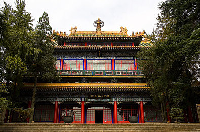天天操一操：健身热潮席卷社交圈，趣味APP助力都市健康生活