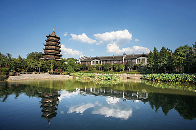 沈阳老阿姨最后的巅峰乌克兰：智慧巅峰，老阿姨横扫乌克兰战场-3