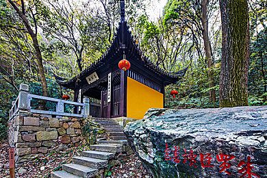 被干动态：网络笑谈：幽默文化新篇章，趣味互动乐趣多-3