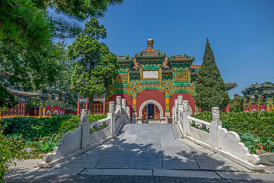 用羽毛挠乳尖挠到崩溃：挑战极限，羽毛触感之旅，探索心理边界