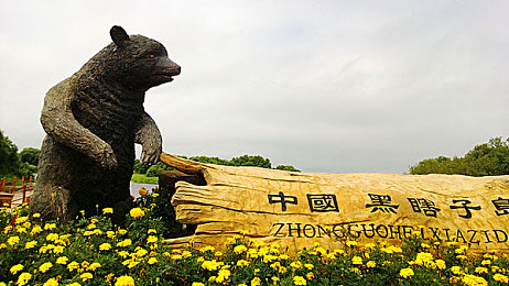 黄色免费下载软件：揭秘便捷宝库：安全畅享，海量软件一触即达-3