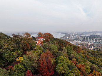 的朋友5中汉字：汉字昵称魅力大揭秘：打造个性网络社交新天地-3