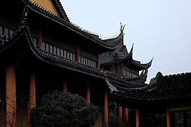 好、色、先、生、T、V：光影汇聚，影视乐园，魅力无限探索之旅-2