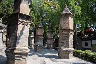 一小孩和他妈妈摘萝卜：亲子农场乐趣多，温馨互动游戏体验分享引关注