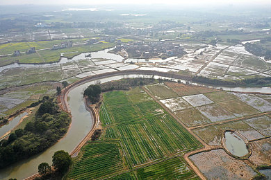 大菠萝福建导航进入：游戏导航新篇章，福建玩家畅游大世界-1