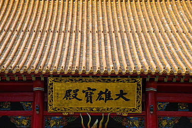 狗头萝莉呼啦圈：萌动腰间健身圈，时尚塑形新潮流-2