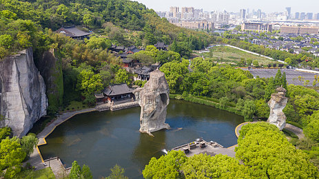 草莓在线观看视频：草莓乐园畅游记，趣味种植乐无边