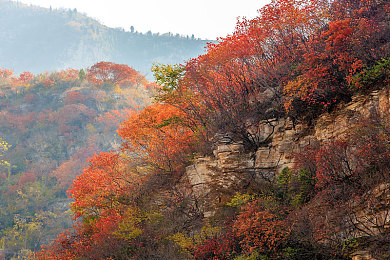 三上悠亚巅峰作品：梦想巅峰，青春逐影-4