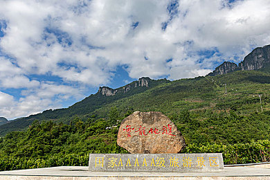 自由 性护士vido呻吟：个性化护理之旅，畅享自由护理新体验-3