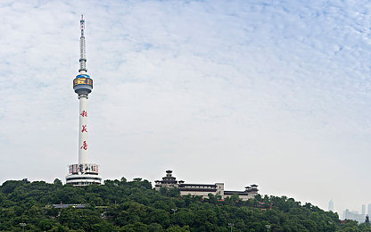 色多多污版：奇幻冒险之旅，探索宝藏的奇幻世界-2