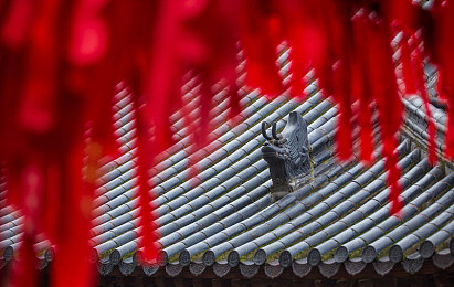 图片区 小说区 校园 另类：网图小说绘校园，青春文化新篇章-4