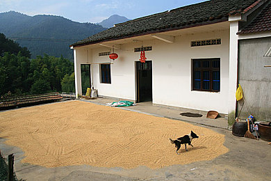 18进：游戏SEO攻略：深度优化内容，提升用户体验，助你网站流量翻倍-2