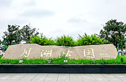 404黄片一大堆的直接下载的：网络清道夫：守护青春，净化网络空间之旅-3