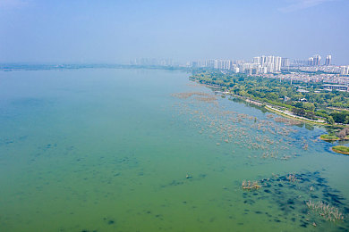 德国复古毛葺葺：穿越时空之旅，复古风情地毯传奇-2