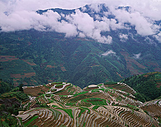 外网禁地网站：揭秘神秘禁地：探寻网络深处的未知世界之旅-3