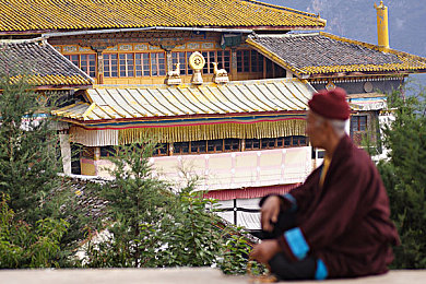 好色先生tt：沉浸多彩世界，畅享情感冒险之旅-3