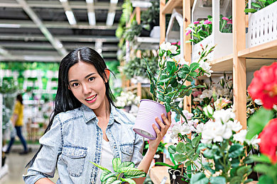 桃花岛网站：梦幻乌托邦，探索精彩游戏世界-1