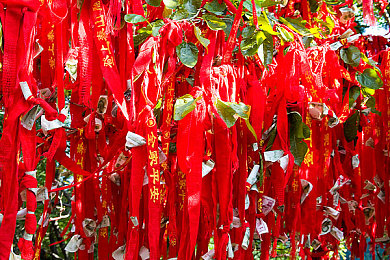 草莓在线：虚拟乐园新篇章，社交游戏领风潮-2