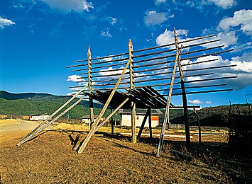 免费色哟哟：游戏新势力，免费畅玩盛宴，体验无限乐趣-2