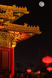 一个人看视频www：沉浸独享时光：揭秘新型休闲方式，释放压力拓展视野的独家魅力-4