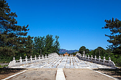 打扑克又叫又疼软件免费：免费“叫疼”软件助你扑克游戏大放异彩，独特语音互动体验引玩家追捧-3
