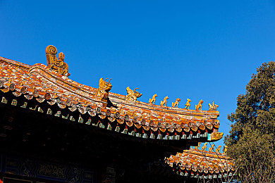 可以看美女不穿衣服的APP：探秘视觉盛宴，共筑文明网络，独特审美之旅-4