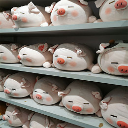 2008电脑照片全套库存下载：时光宝库解锁，2008影像记忆重现